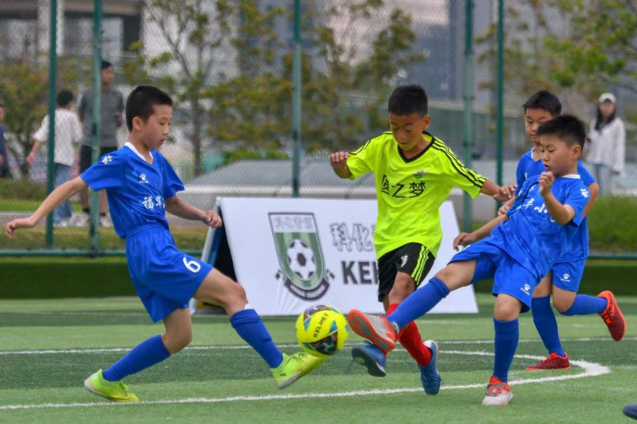 池里展现了 池里展现了