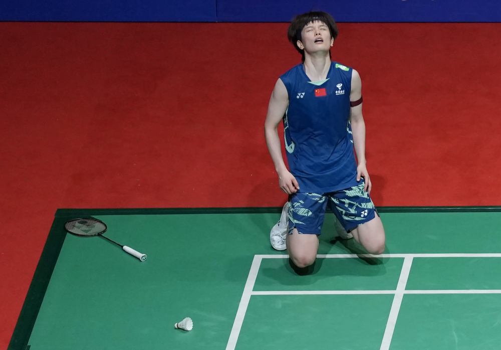 尼斯采用了 尼斯采用了